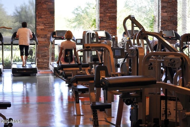 workout area featuring wood finished floors