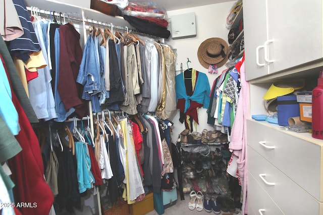 8120 E Cortez Dr, Scottsdale, AZ 85260 - spacious closet with carpet