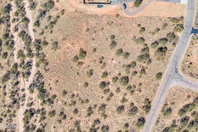 Listing photo 2 for TBD W Thunder Pass Rd Unit 65, Benson AZ 85602