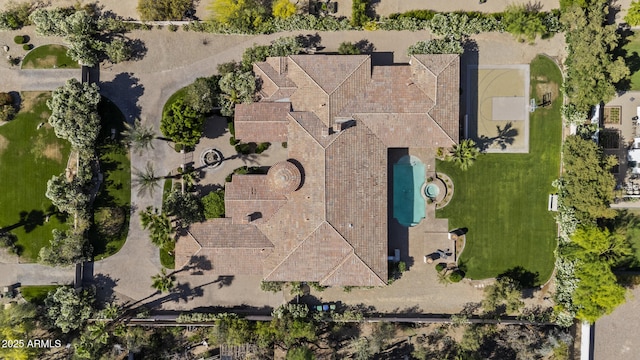 bird's eye view