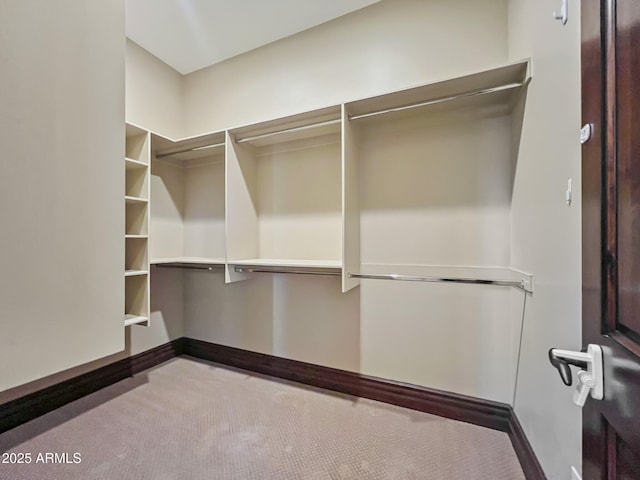 walk in closet with carpet flooring