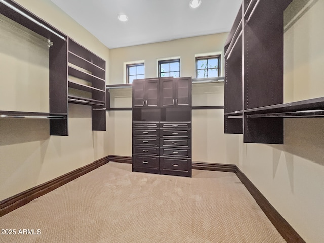 spacious closet featuring carpet floors