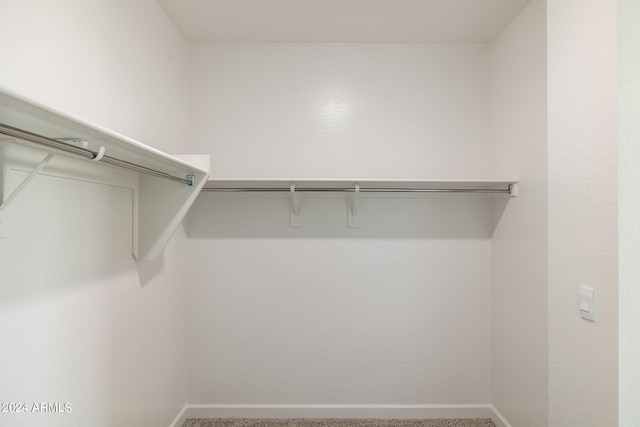 spacious closet with carpet