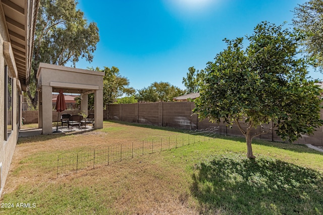 view of yard featuring a patio area