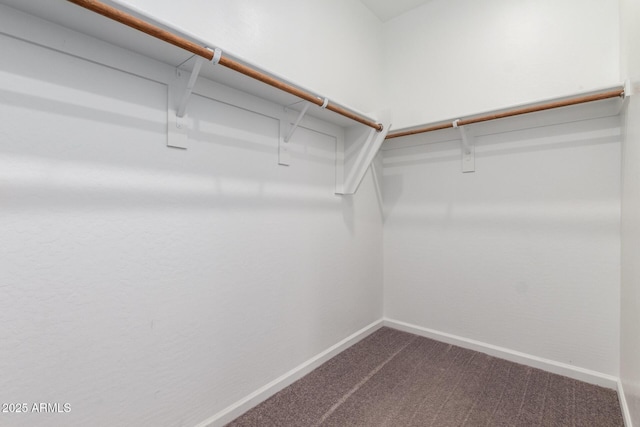 3036 E Riding Boot Way, San Tan Valley, AZ 85140 - walk in closet with dark carpet