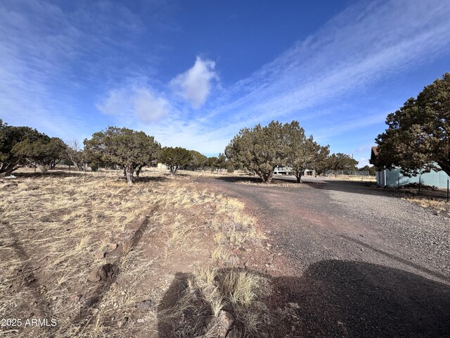 view of road with a rural view