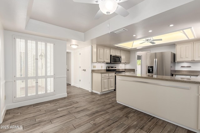 38 E Calavar Rd, Phoenix, AZ 85022 - kitchen with appliances with stainless steel finishes, a ceiling fan, a raised ceiling, and wood finished floors
