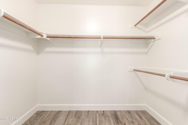 38 E Calavar Rd, Phoenix, AZ 85022 - spacious closet featuring wood finished floors