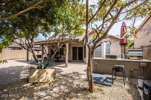 back of property with a patio and an outdoor kitchen