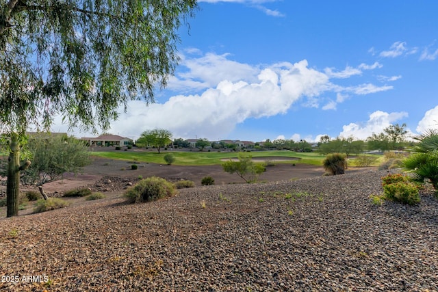 27105 W Marco Polo Rd, Buckeye, AZ 85396 - view of yard
