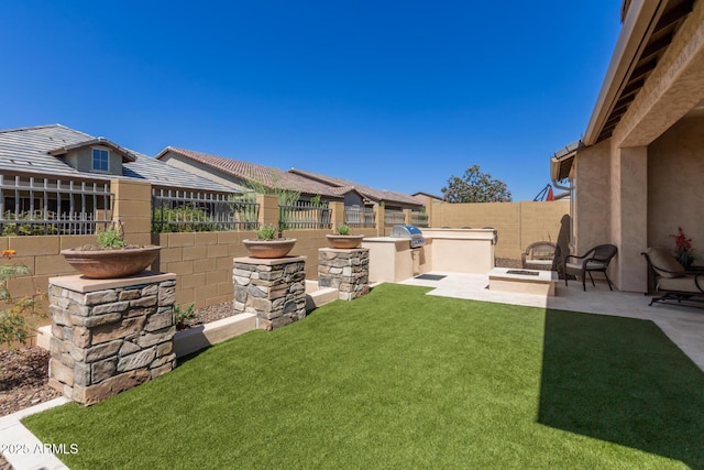 view of yard featuring a patio area and an outdoor kitchen