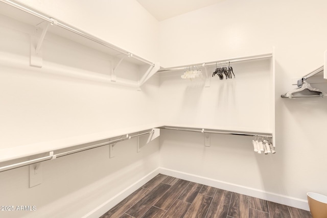 spacious closet featuring dark wood-type flooring