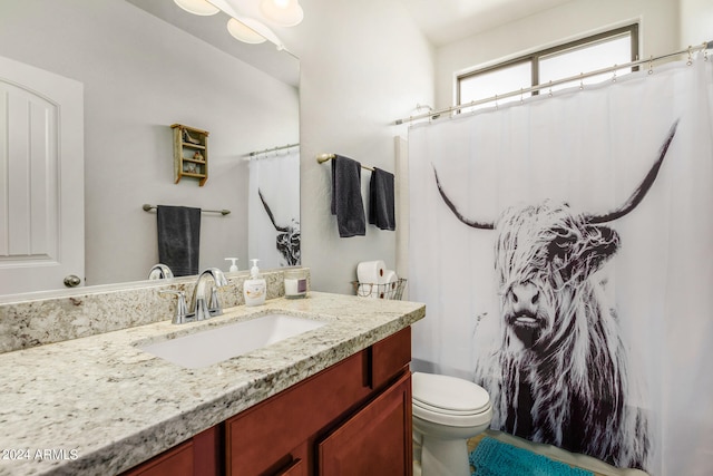 bathroom with toilet and vanity