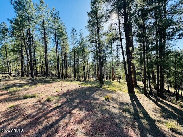 2549 Pine Valley Rd Unit 681, Happy Jack, AZ 86024