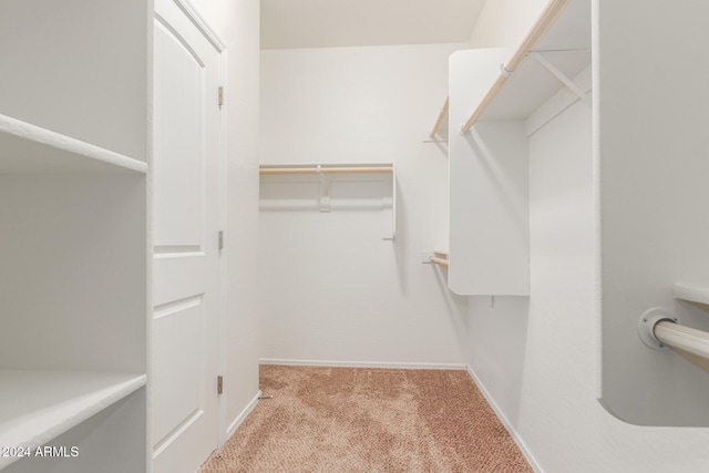 walk in closet with light carpet