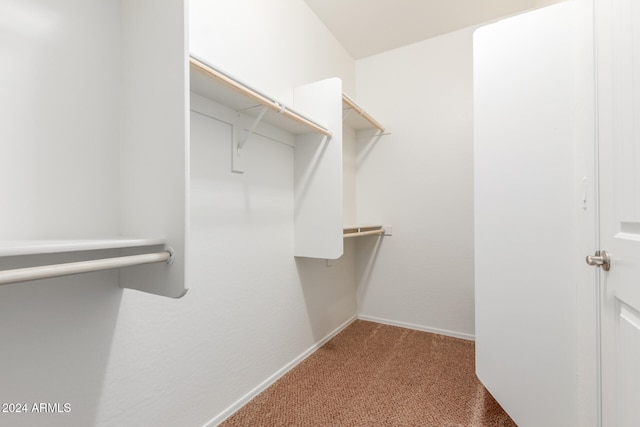 spacious closet with carpet