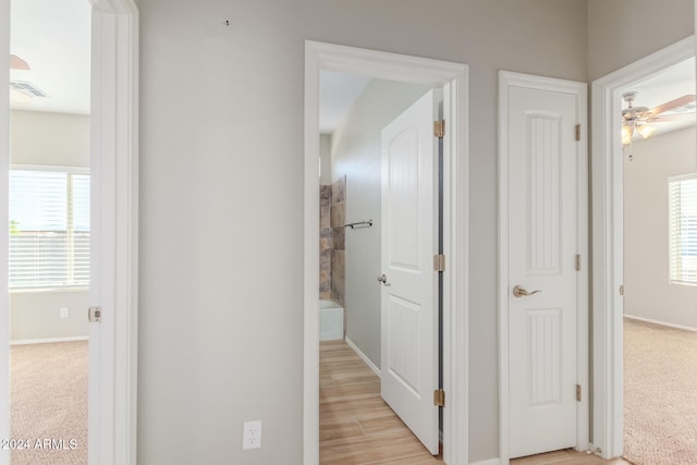 hallway featuring a healthy amount of sunlight and light colored carpet