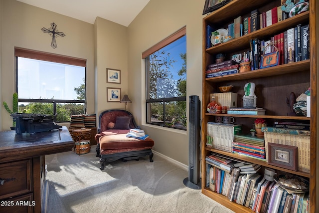 living area with carpet flooring and a wealth of natural light