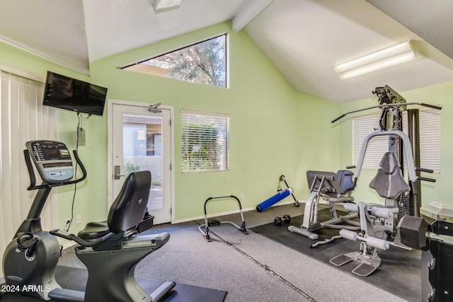 exercise room with carpet and high vaulted ceiling