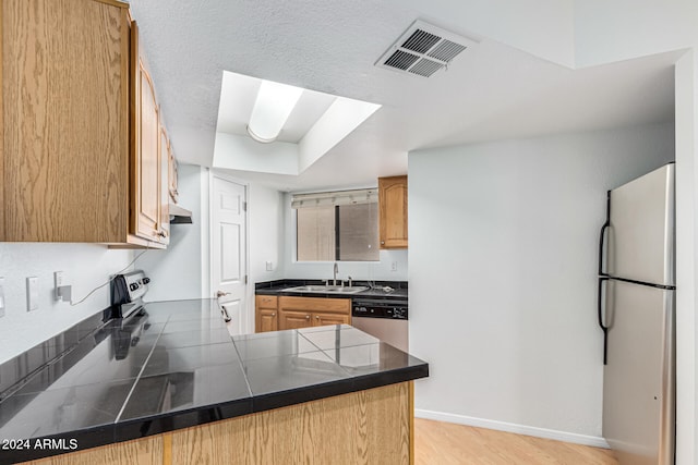 kitchen featuring kitchen peninsula, appliances with stainless steel finishes, a skylight, sink, and light hardwood / wood-style flooring