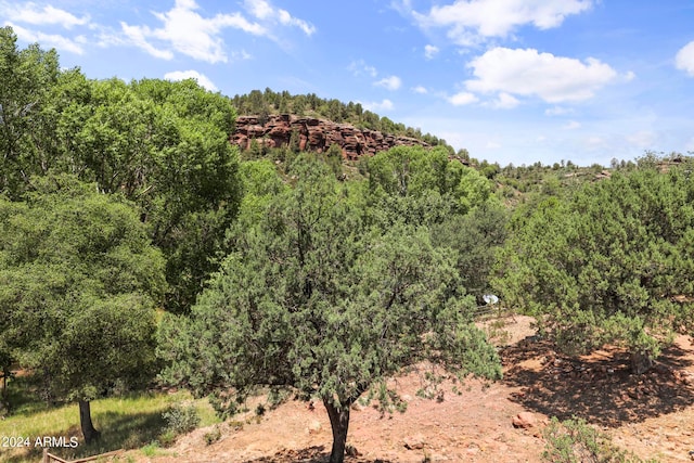 view of mountain feature