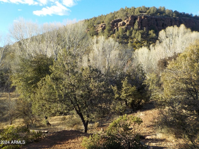 property view of mountains