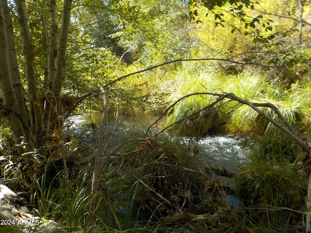 view of nature featuring a water view