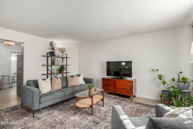 living room featuring wood-type flooring and a textured ceiling