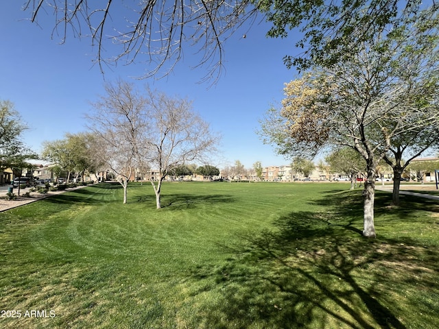 view of property's community with a lawn