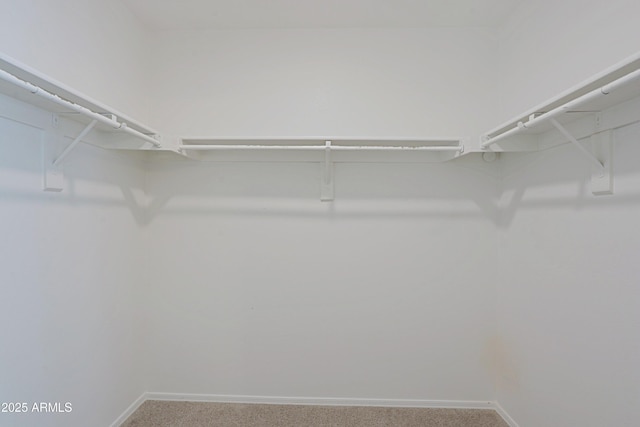spacious closet with carpet