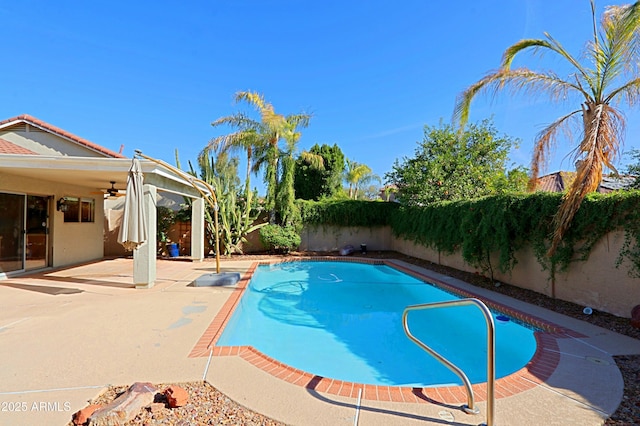 view of swimming pool featuring a patio area and ceiling fan