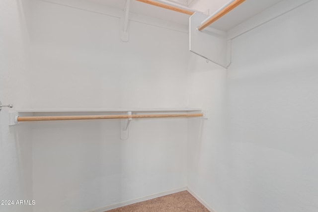 spacious closet featuring carpet flooring