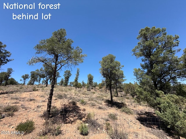 1115 N Scenic Dr, Payson, AZ 85541 - view of nature