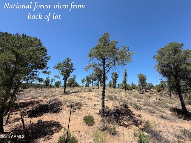 1115 N Scenic Dr, Payson, AZ 85541 - view of landscape featuring a rural view