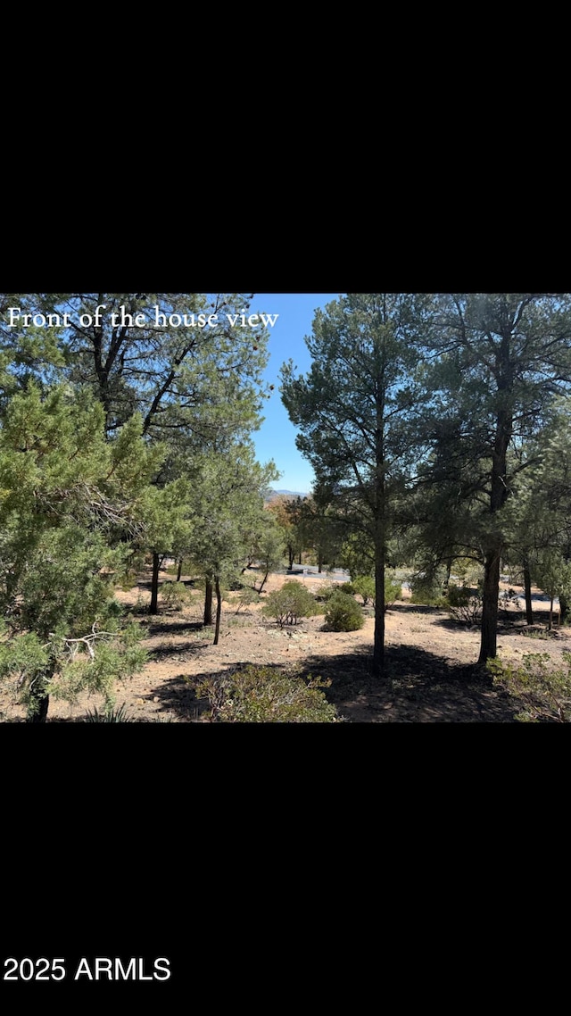 1115 N Scenic Dr, Payson, AZ 85541 - view of landscape