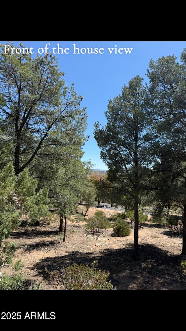 1115 N Scenic Dr, Payson, AZ 85541 - view of nature