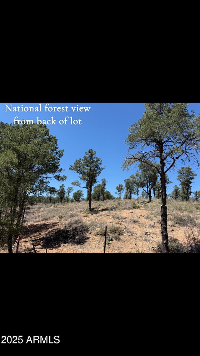 1115 N Scenic Dr, Payson, AZ 85541 - view of landscape