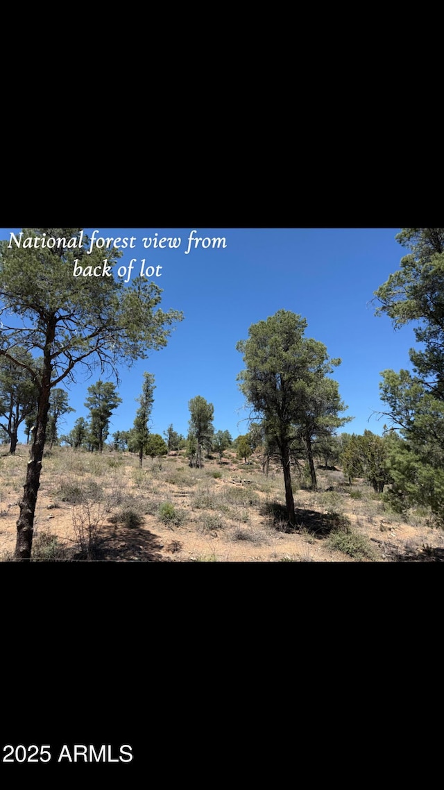 1115 N Scenic Dr, Payson, AZ 85541 - view of local wilderness