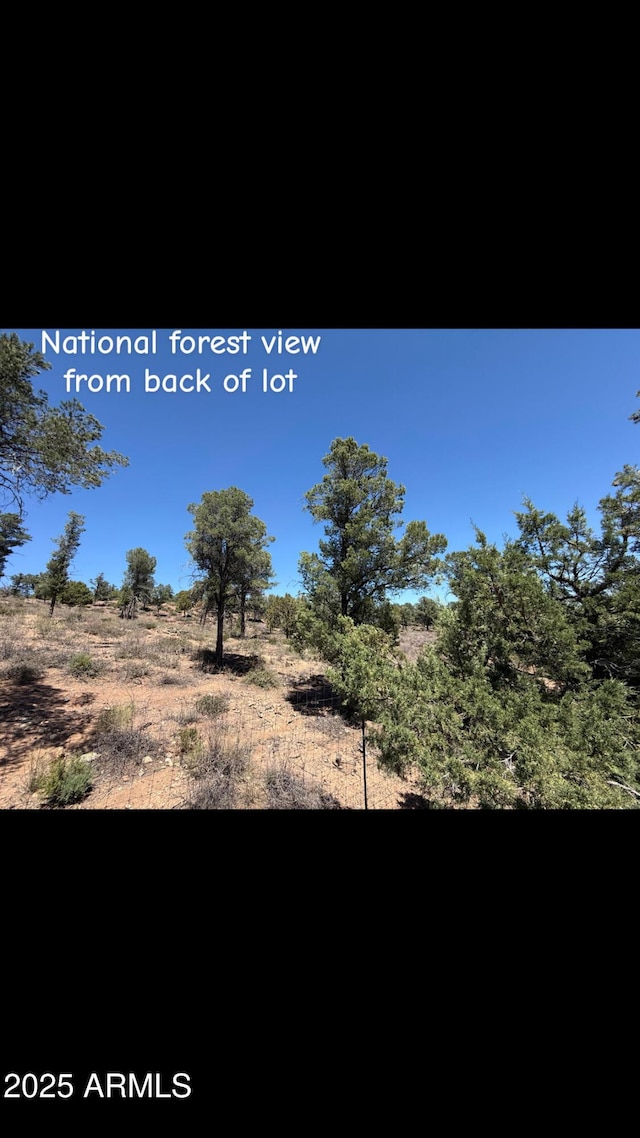 1115 N Scenic Dr, Payson, AZ 85541 - view of local wilderness