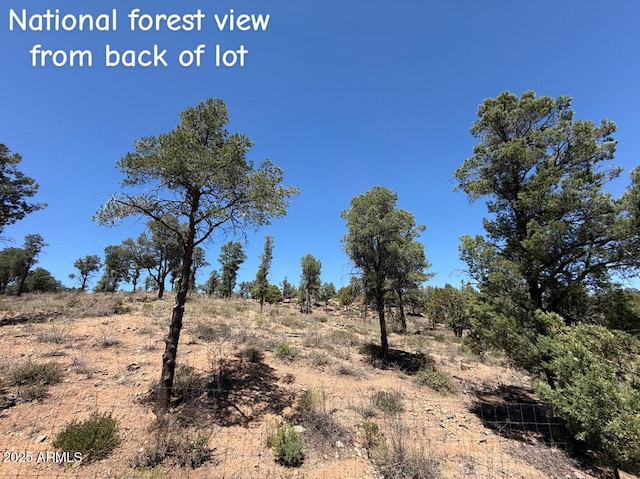1115 N Scenic Dr, Payson, AZ 85541 - view of landscape