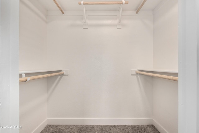 1727 W 12th Ave, Apache Junction, AZ 85120 - walk in closet featuring carpet flooring
