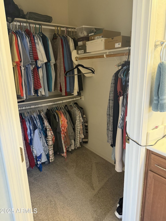 spacious closet featuring carpet flooring