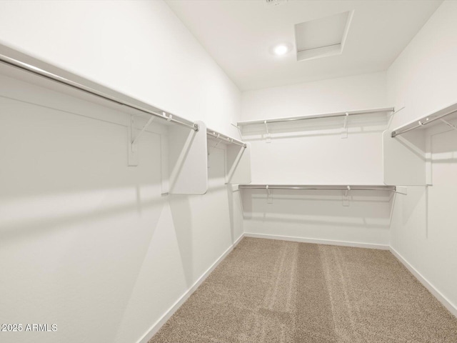 walk in closet with carpet flooring