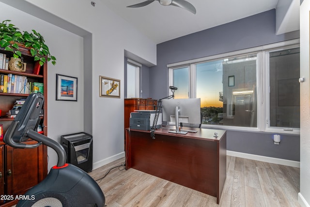 office featuring ceiling fan and light hardwood / wood-style flooring