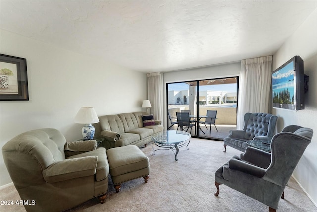 view of carpeted living room