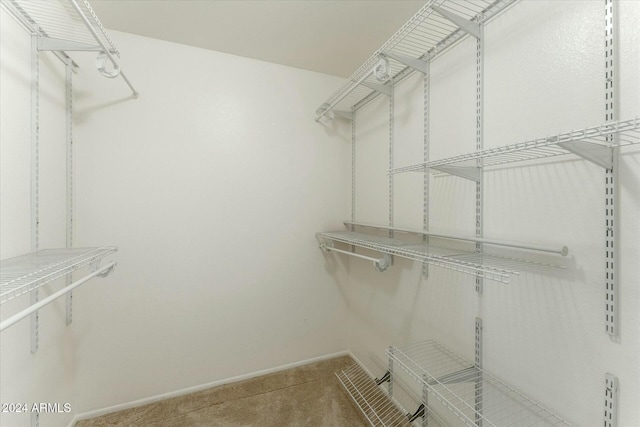 walk in closet with light carpet