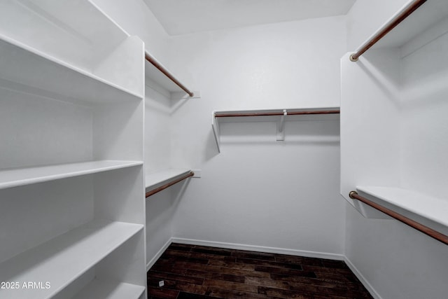 walk in closet with dark hardwood / wood-style floors