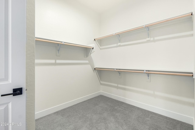 spacious closet featuring carpet