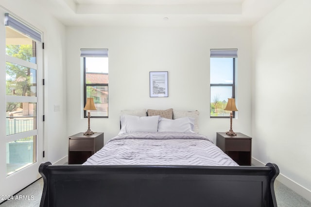 carpeted bedroom with a raised ceiling