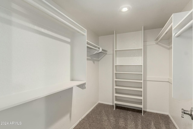 spacious closet featuring dark colored carpet